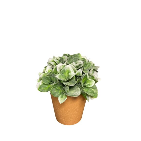 6.5 In. Artificial Potted Succulents In Terracotta-Like Pots With Green & White - Picture 1 of 5